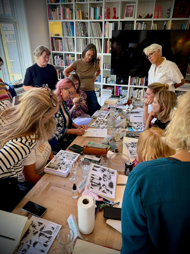 Intro til Ansigter – knæk koden
